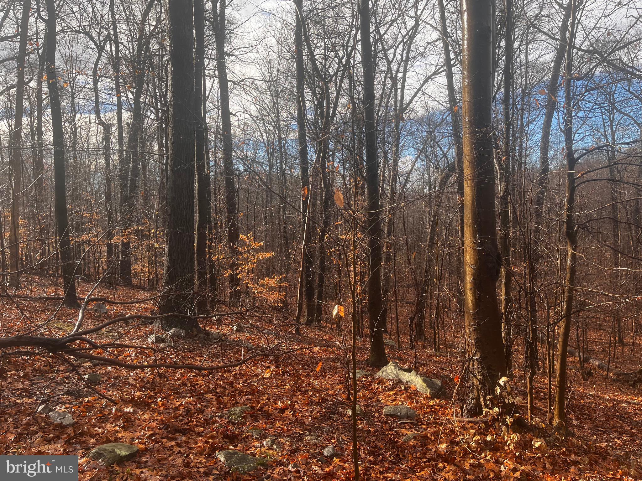 327 Hibernia Road Coatesville, PA 19320 - Photo 5 of 10