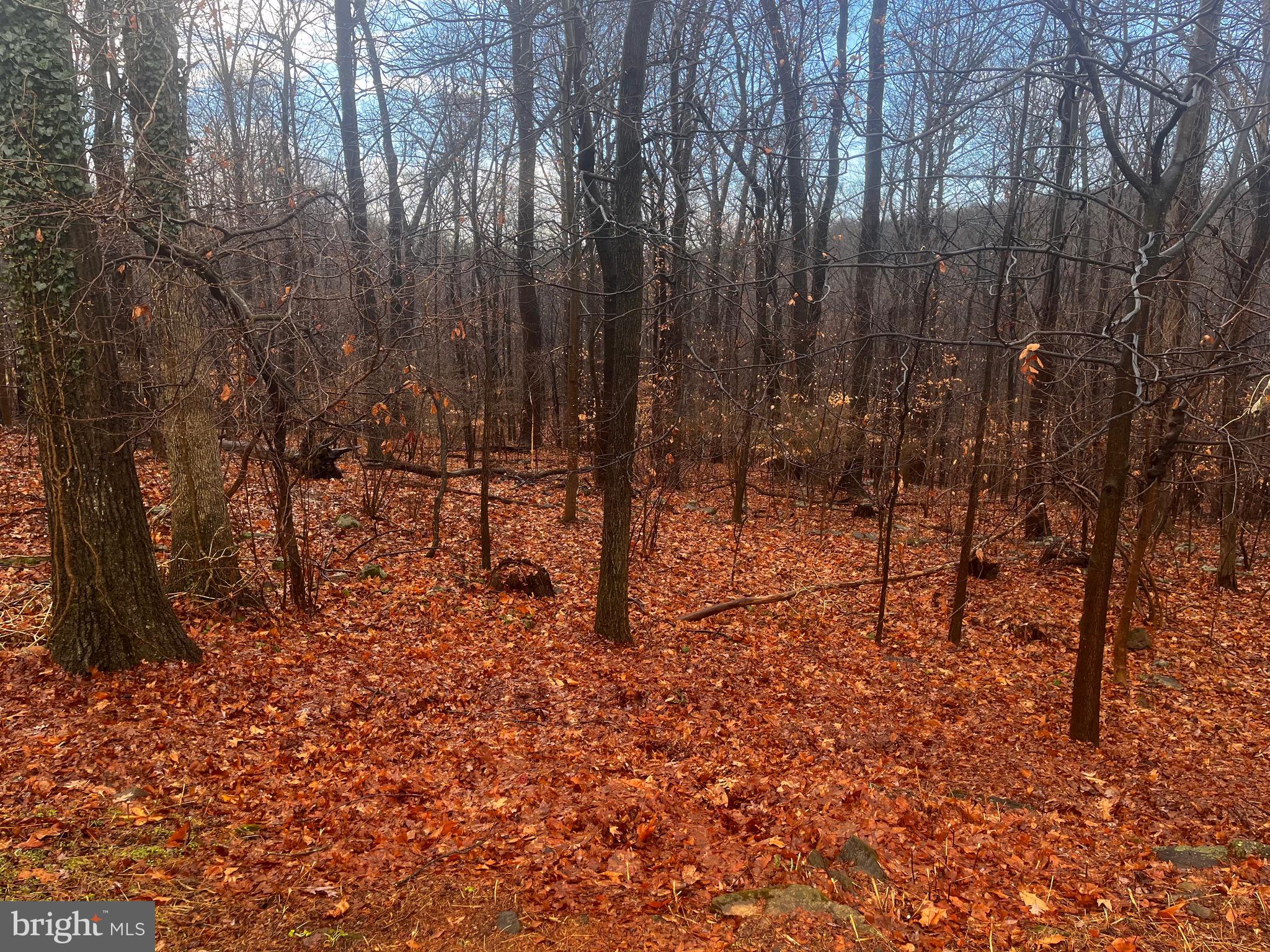 327 Hibernia Road Coatesville, PA 19320 - Photo 9 of 10