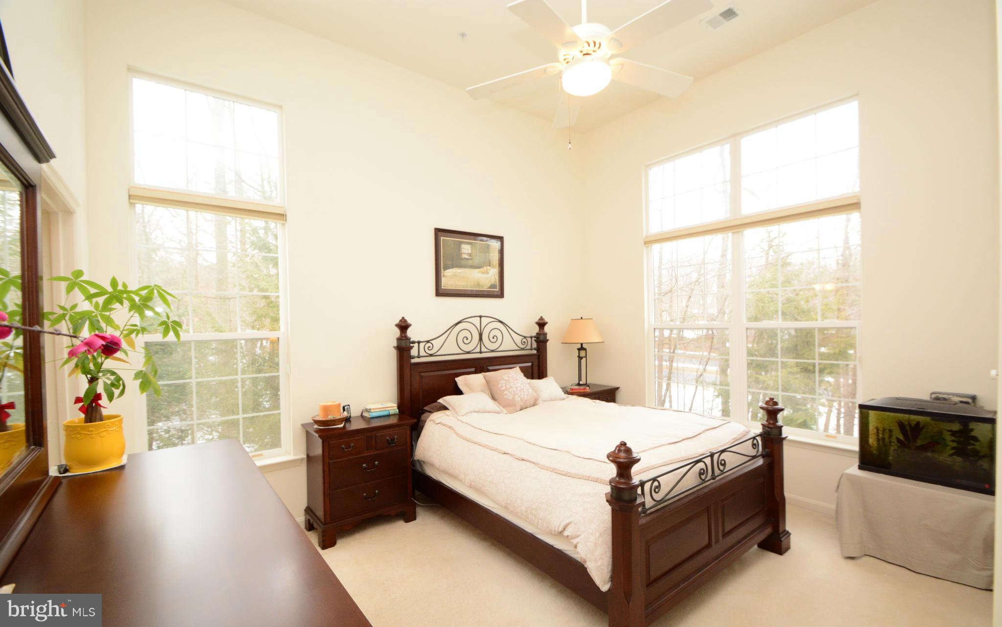 11406 Windleaf Court, Unit N Reston, VA 20194 - Photo 5 of 24 Bedroom (Master)