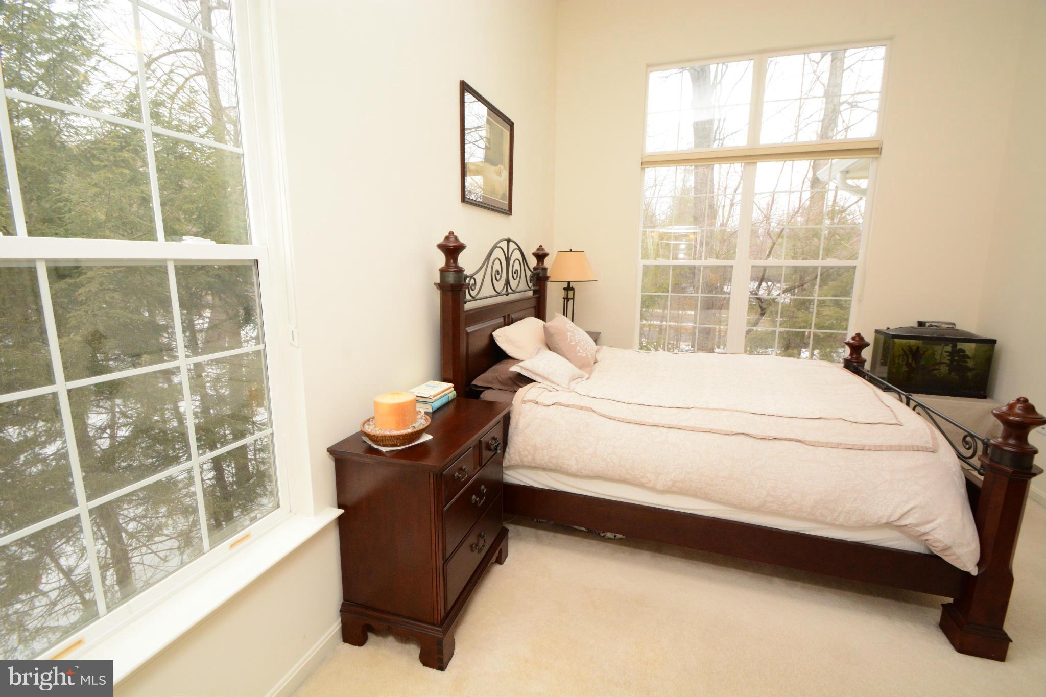 11406 Windleaf Court, Unit N Reston, VA 20194 - Photo 6 of 24 Bedroom (Master)