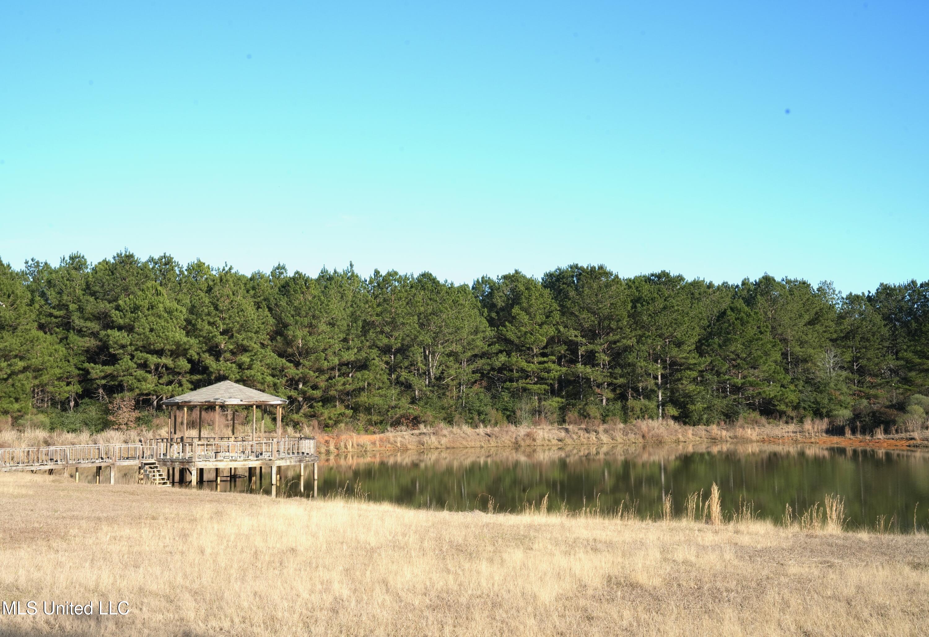 1082 Double M Summit Summit, MS 39666 - Photo 31 of 47 DSC01292
