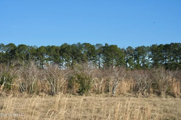 $725,000 | 1082 Double M Summit, Summit, MS 39666