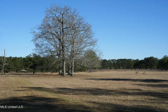 $725,000 | 1082 Double M Summit, Summit, MS 39666