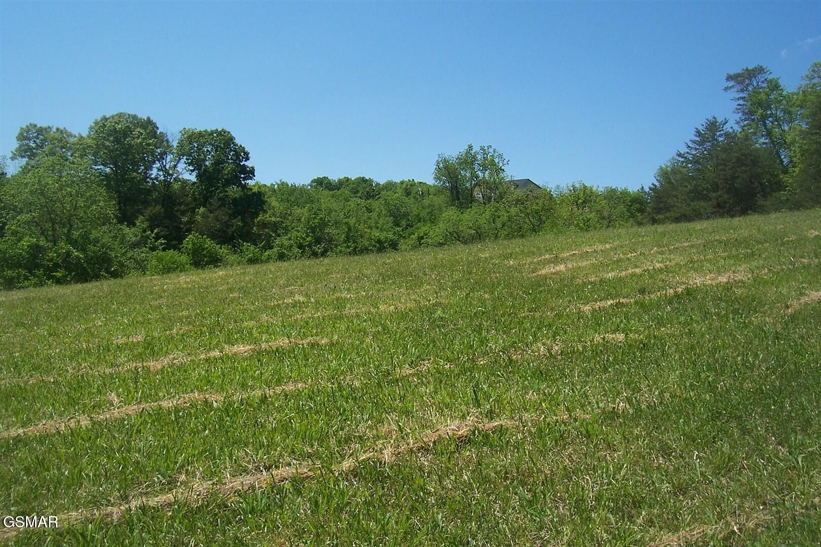 31 Splendor Way Parrottsville, TN 37843 - Photo 3 of 9 Gallery Image 3