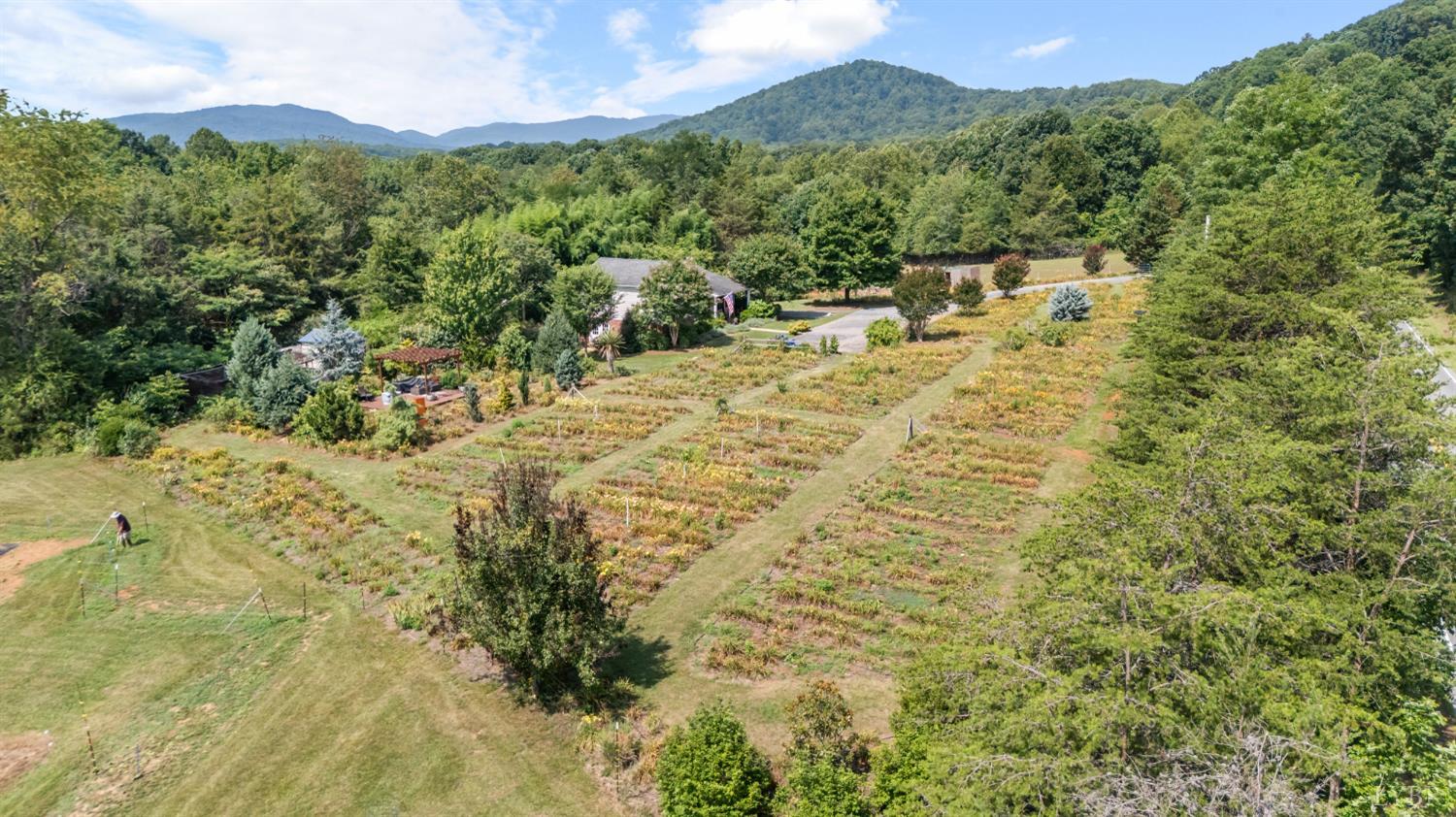 3227 Elon Road Monroe, VA 24574 - Photo 37 of 57