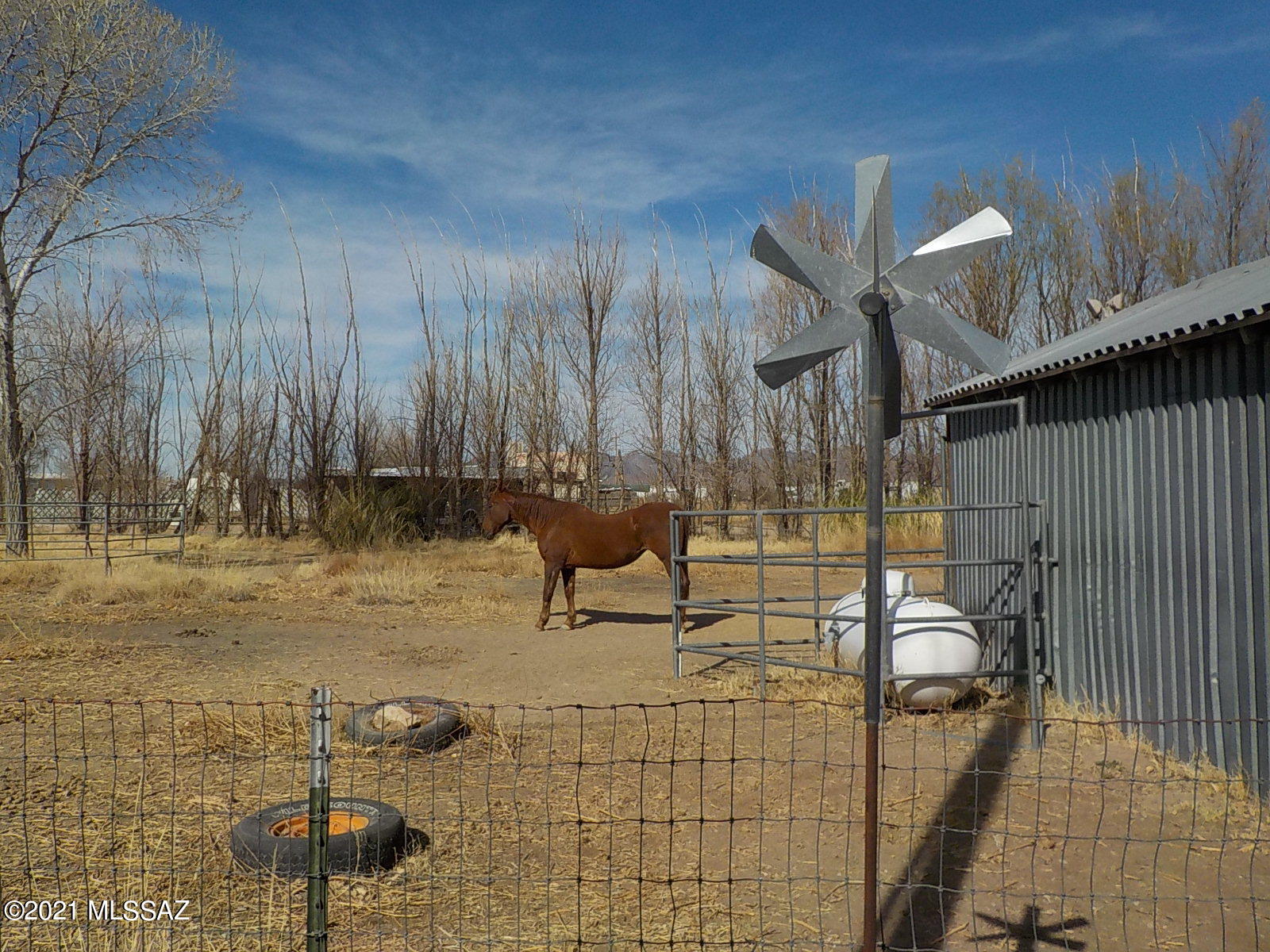 271 North Taylor Road Willcox, AZ 85643 - Photo 34 of 50