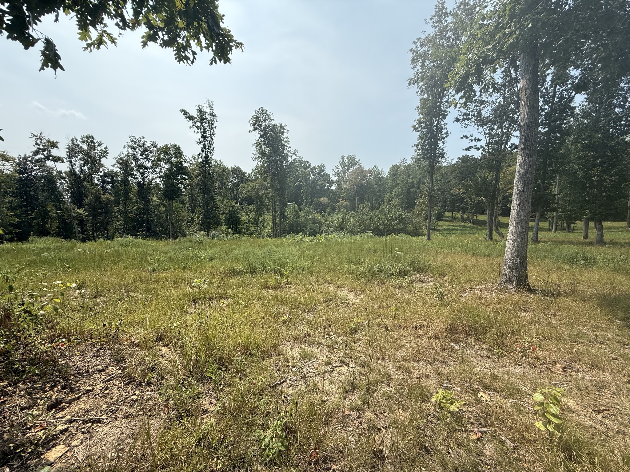 216 Virgil Deckard Road Red Boiling Springs, TN 37150 - Photo 3 of 4