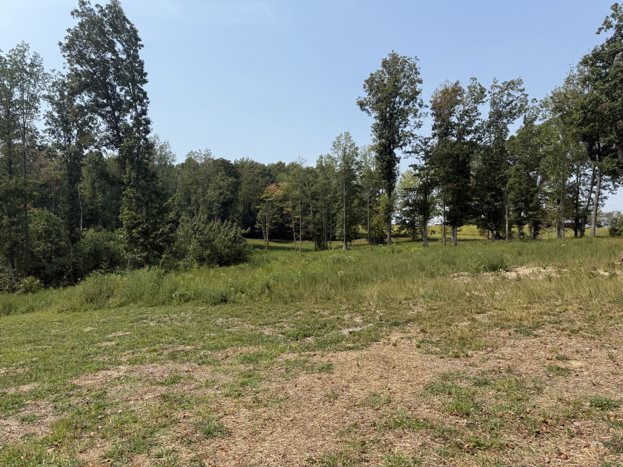 216 Virgil Deckard Road Red Boiling Springs, TN 37150 - Photo 4 of 4