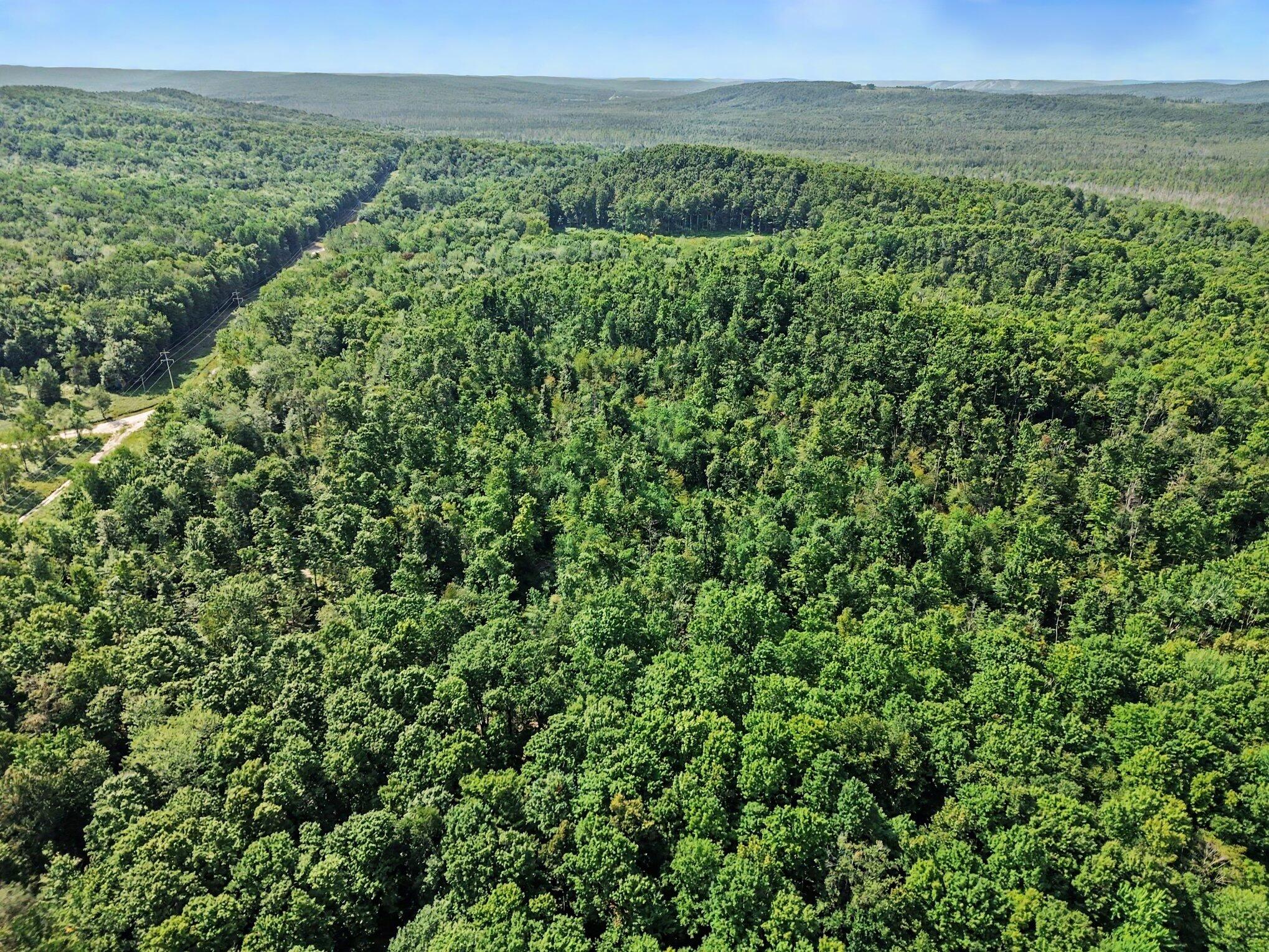 0 Padgett Road Boyne Falls, MI 49713 - Photo 5 of 21 003_dji_0422_692