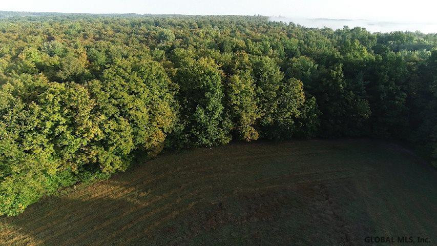 Rock Road Berne, NY 12023 - Photo 1 of 28 Photo 1