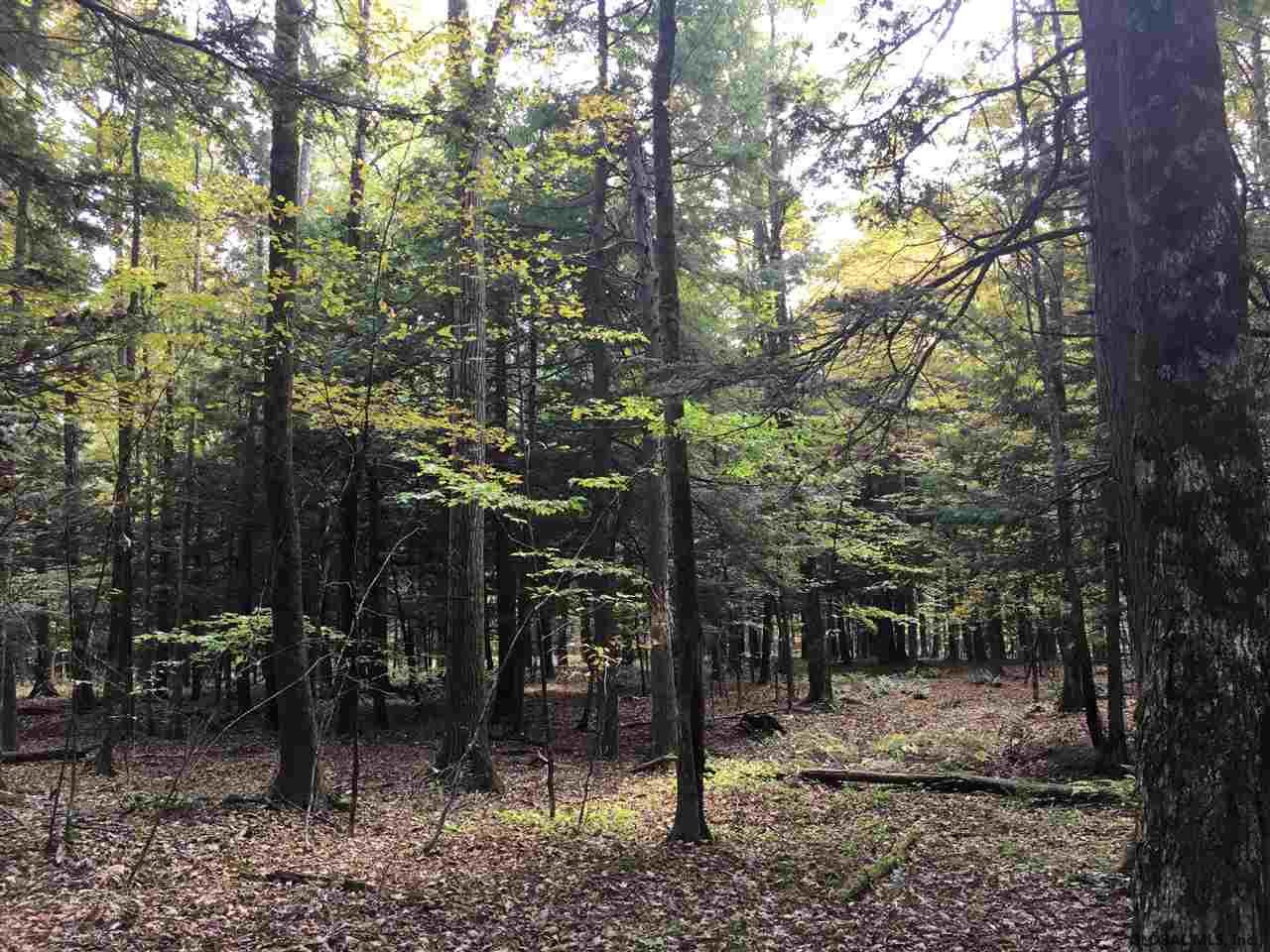 Rock Road Berne, NY 12023 - Photo 11 of 28 Photo 11