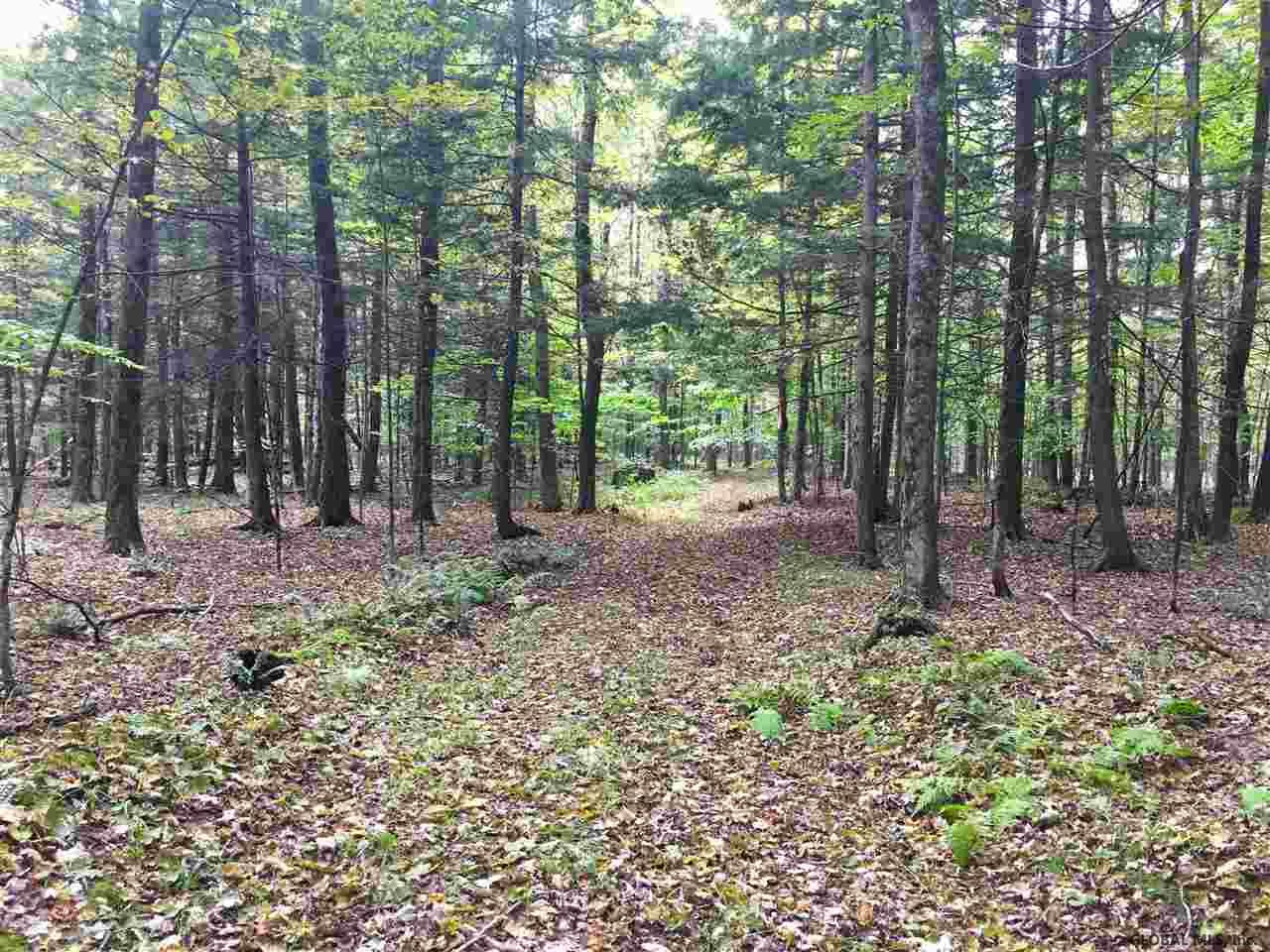 Rock Road Berne, NY 12023 - Photo 12 of 28 Photo 12