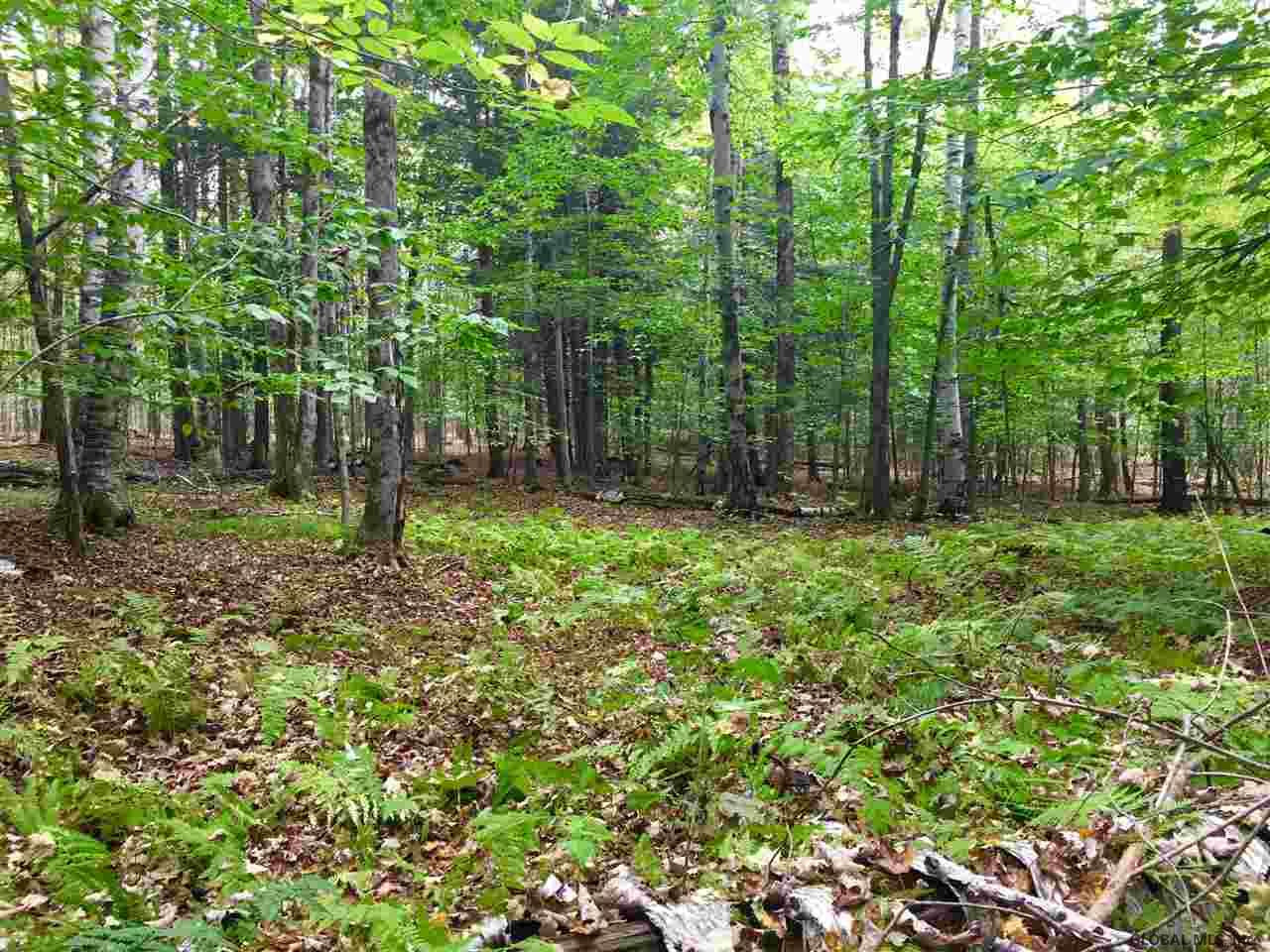 Rock Road Berne, NY 12023 - Photo 13 of 28 Photo 13