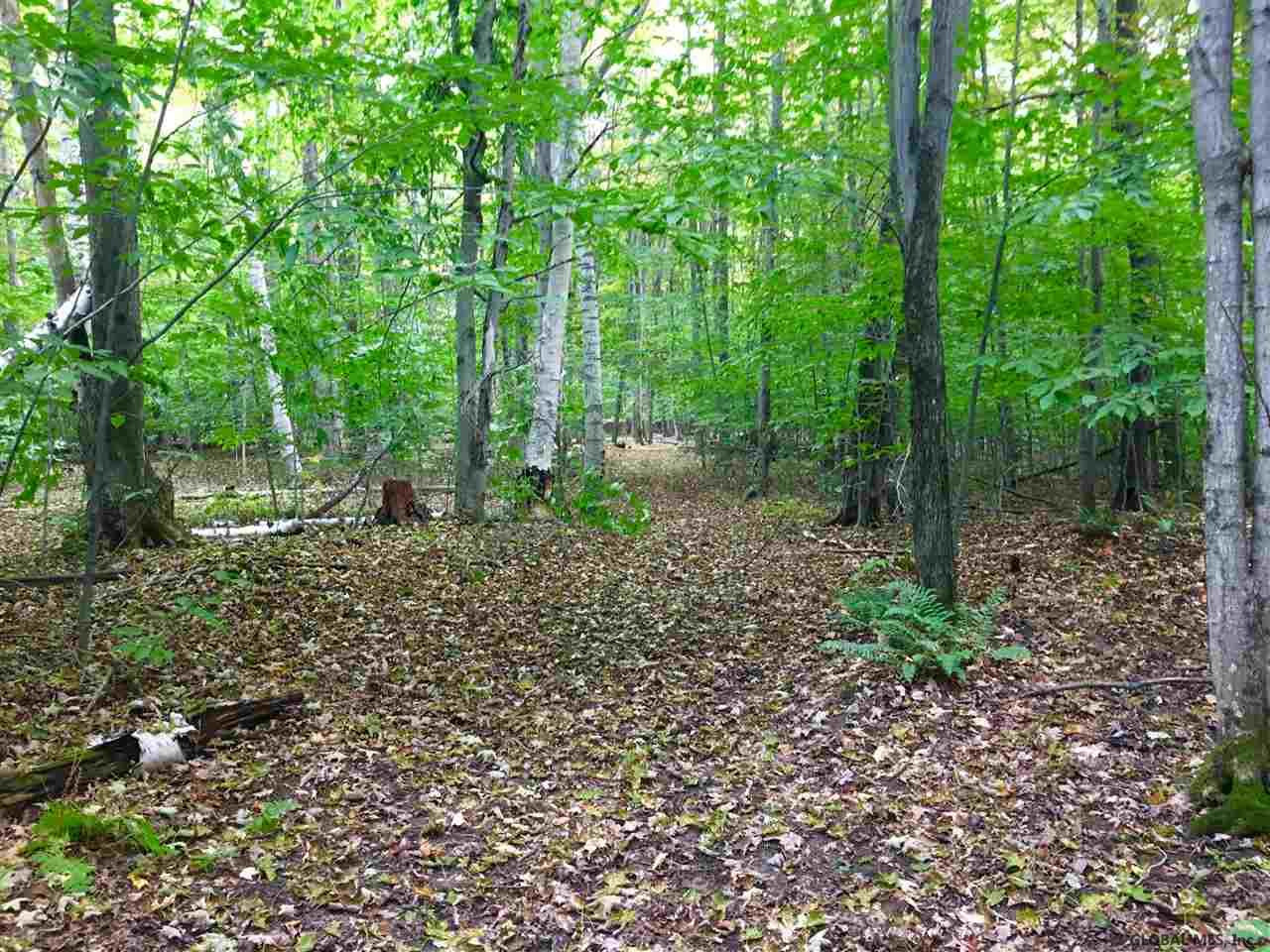 Rock Road Berne, NY 12023 - Photo 14 of 28 Photo 14