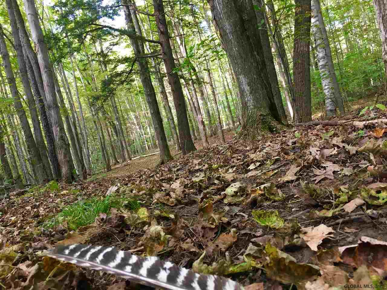Rock Road Berne, NY 12023 - Photo 15 of 28 Photo 15