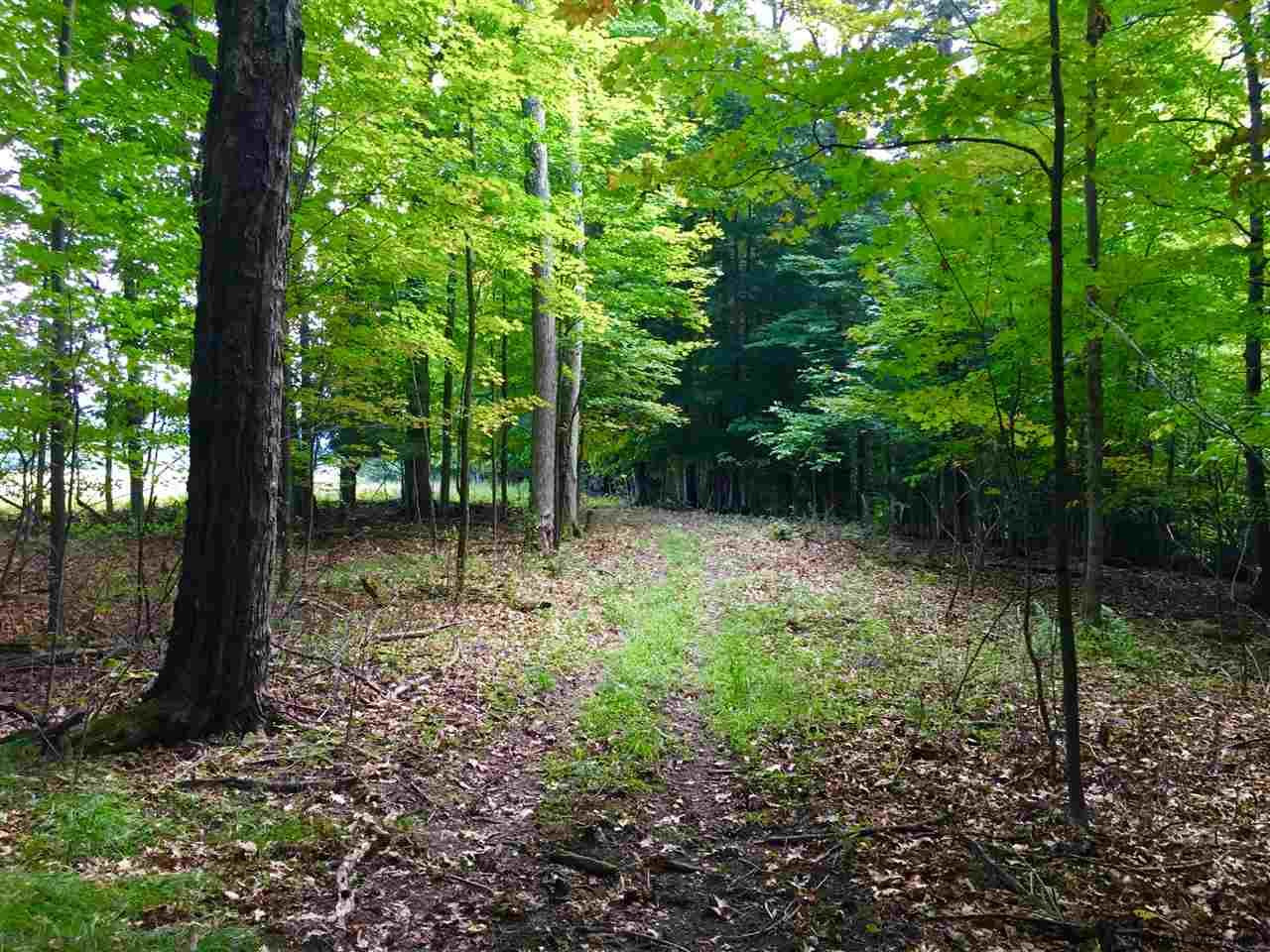 Rock Road Berne, NY 12023 - Photo 16 of 28 Photo 16