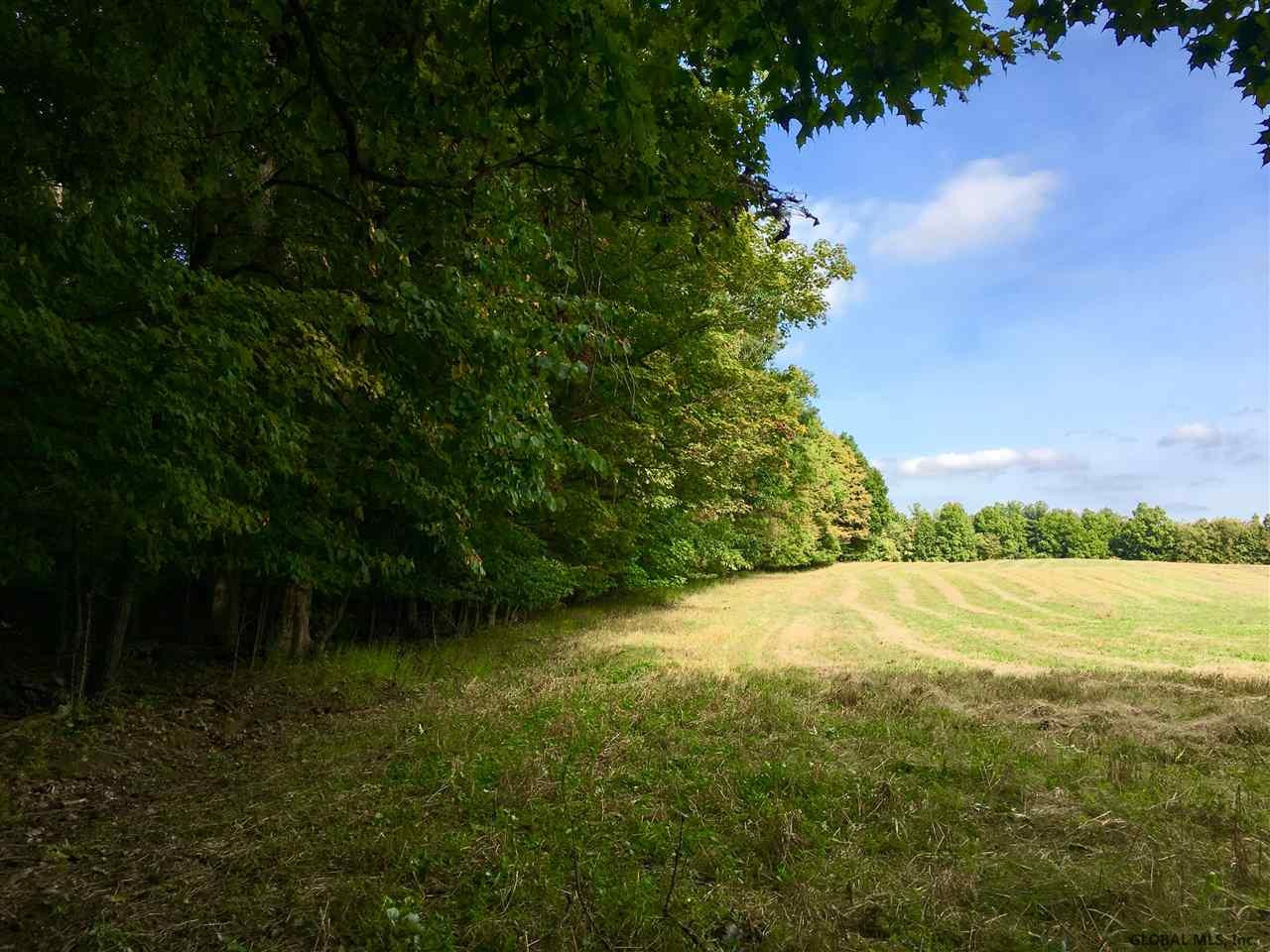 Rock Road Berne, NY 12023 - Photo 17 of 28 Photo 17