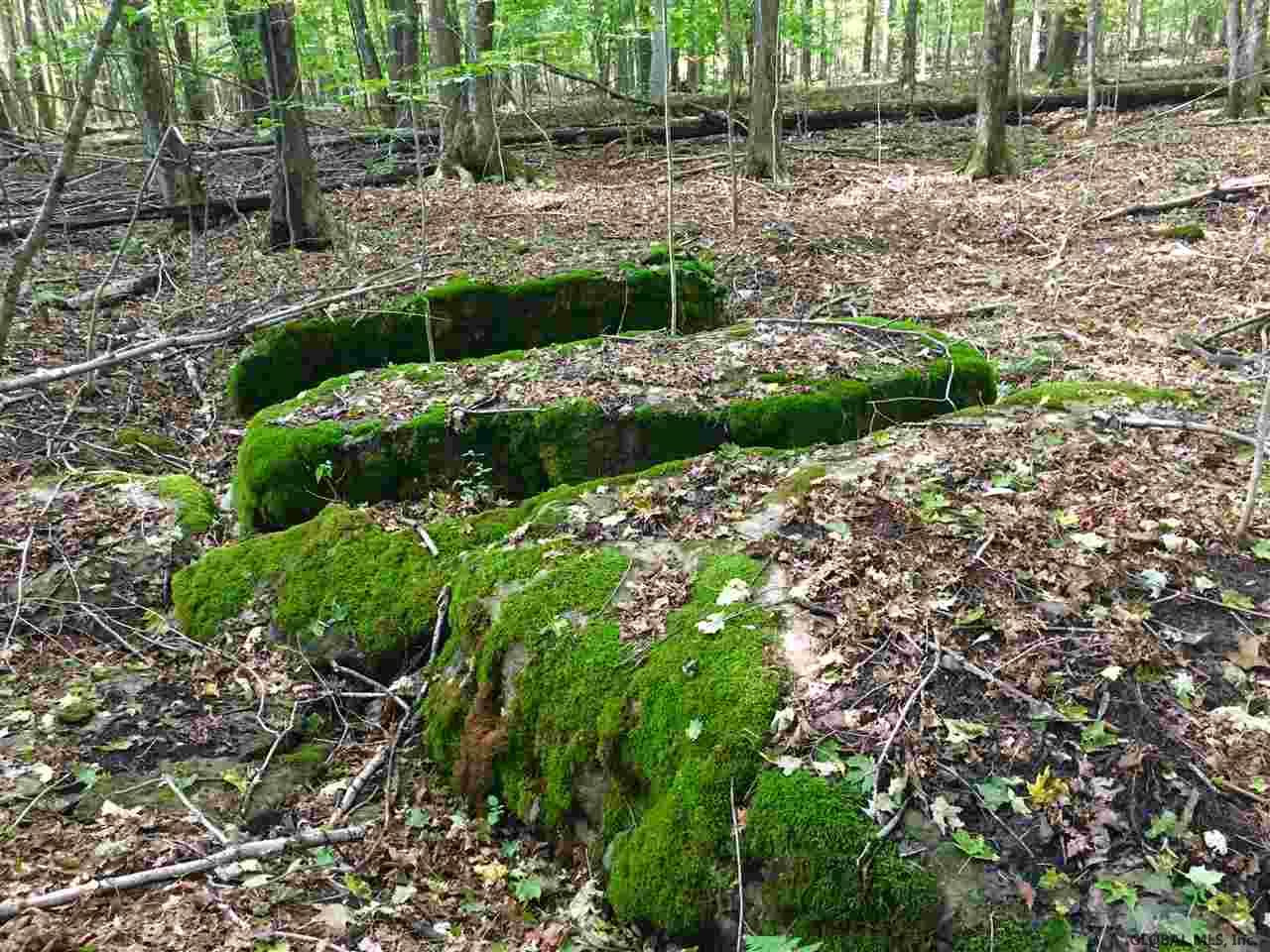 Rock Road Berne, NY 12023 - Photo 18 of 28 Photo 18
