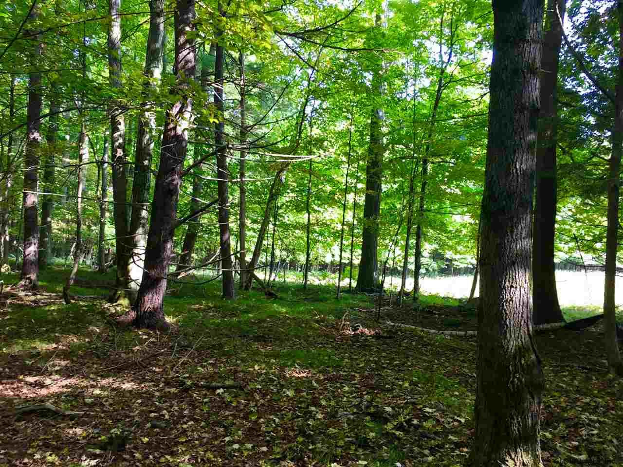 Rock Road Berne, NY 12023 - Photo 20 of 28 Photo 20