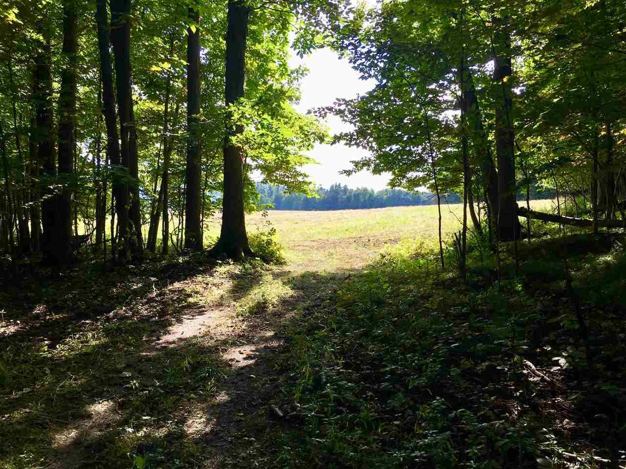 Rock Road Berne, NY 12023 - Photo 21 of 28 Photo 21