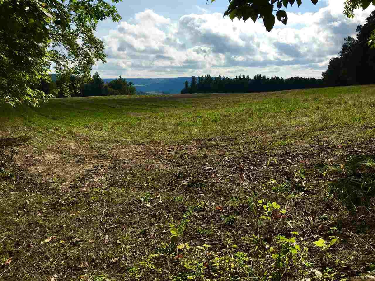 Rock Road Berne, NY 12023 - Photo 22 of 28 Photo 22