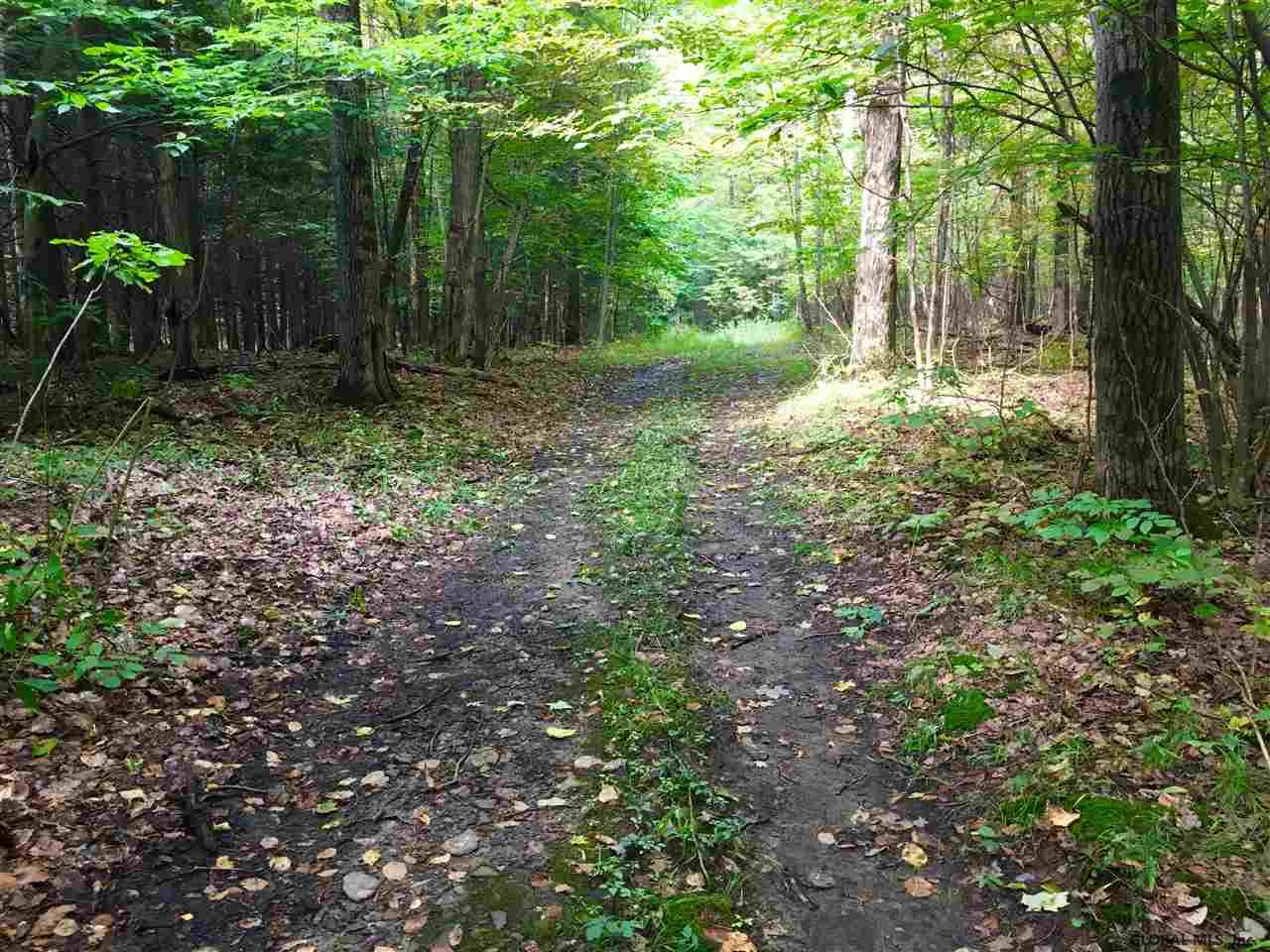 Rock Road Berne, NY 12023 - Photo 8 of 28 Photo 8