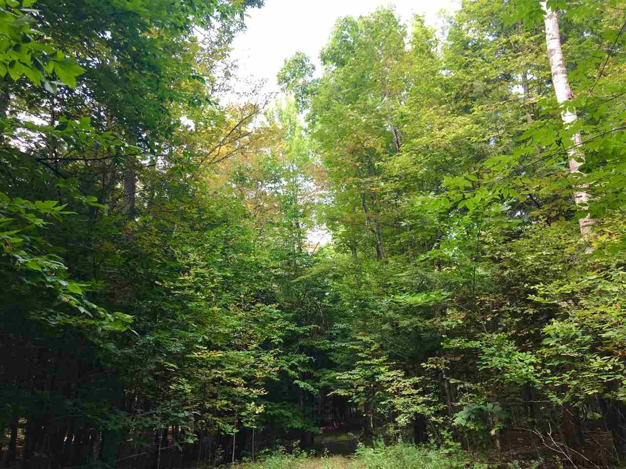 Rock Road Berne, NY 12023 - Photo 9 of 28 Photo 9