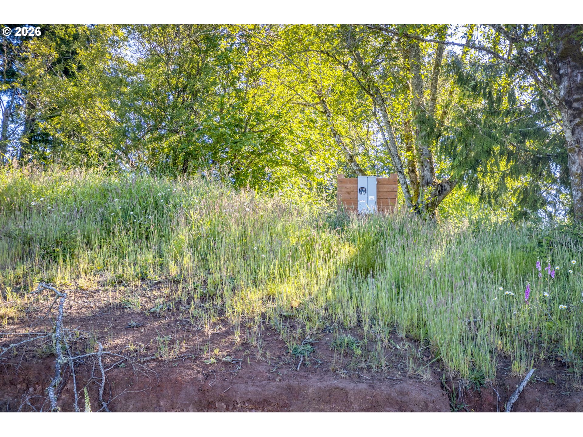268 Walker Road Kelso, WA 98626 - Photo 7 of 14