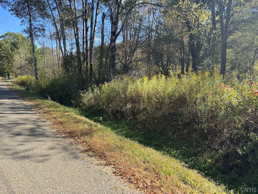 4755 Fay Hollow Road Humphrey, NY 14741 - Photo 5 of 9