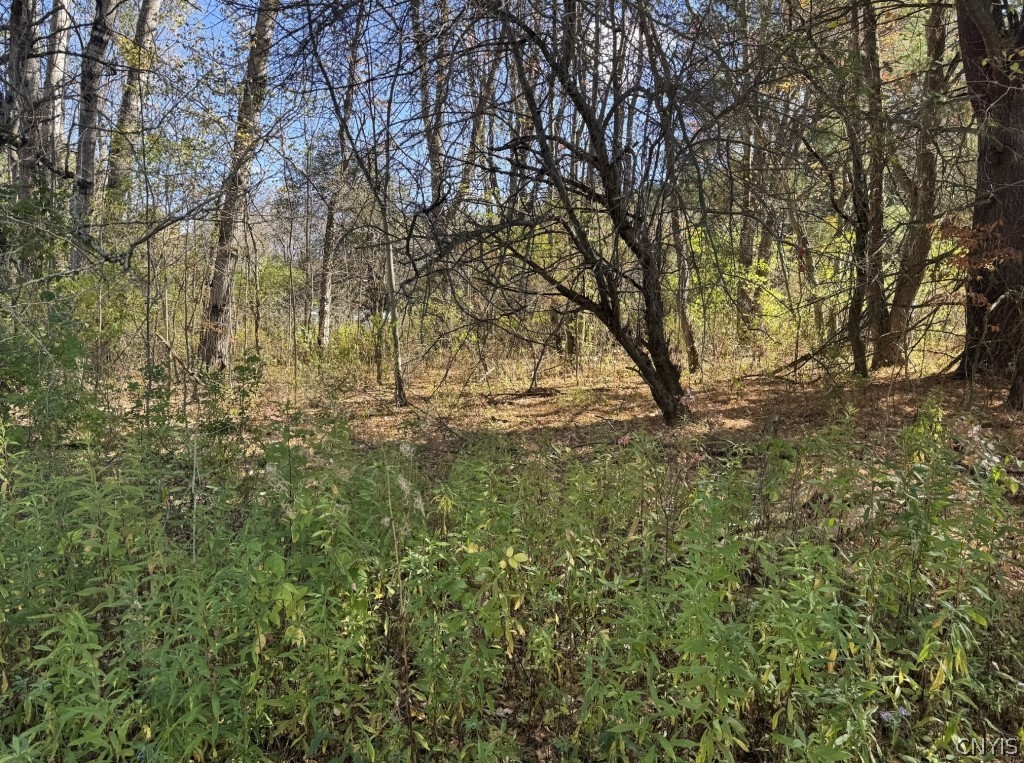 4755 Fay Hollow Road Humphrey, NY 14741 - Photo 6 of 9