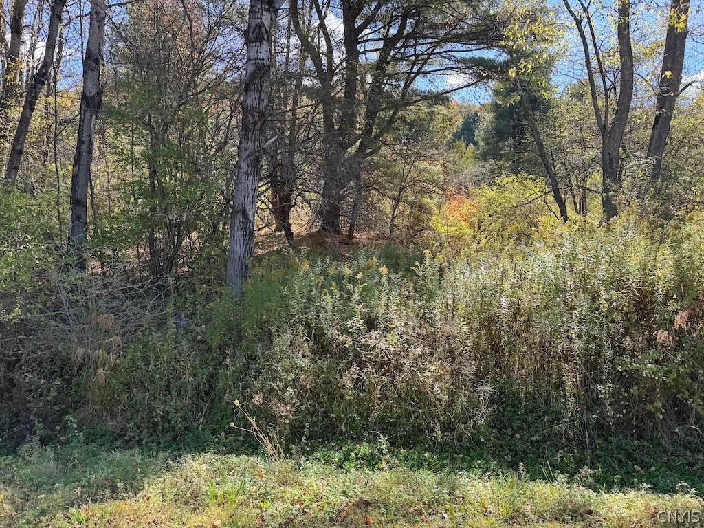 4755 Fay Hollow Road Humphrey, NY 14741 - Photo 7 of 9