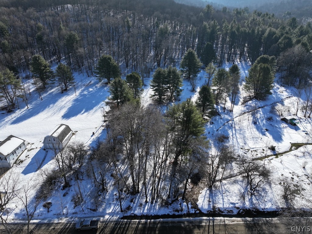 4755 Fay Hollow Road Humphrey, NY 14741 - Photo 9 of 9
