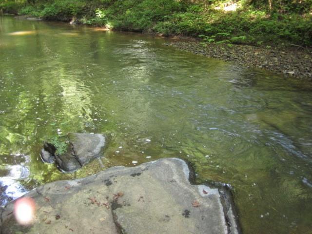 0 Dell Moore Road Marble Hill, GA 30148 - Photo 17 of 18