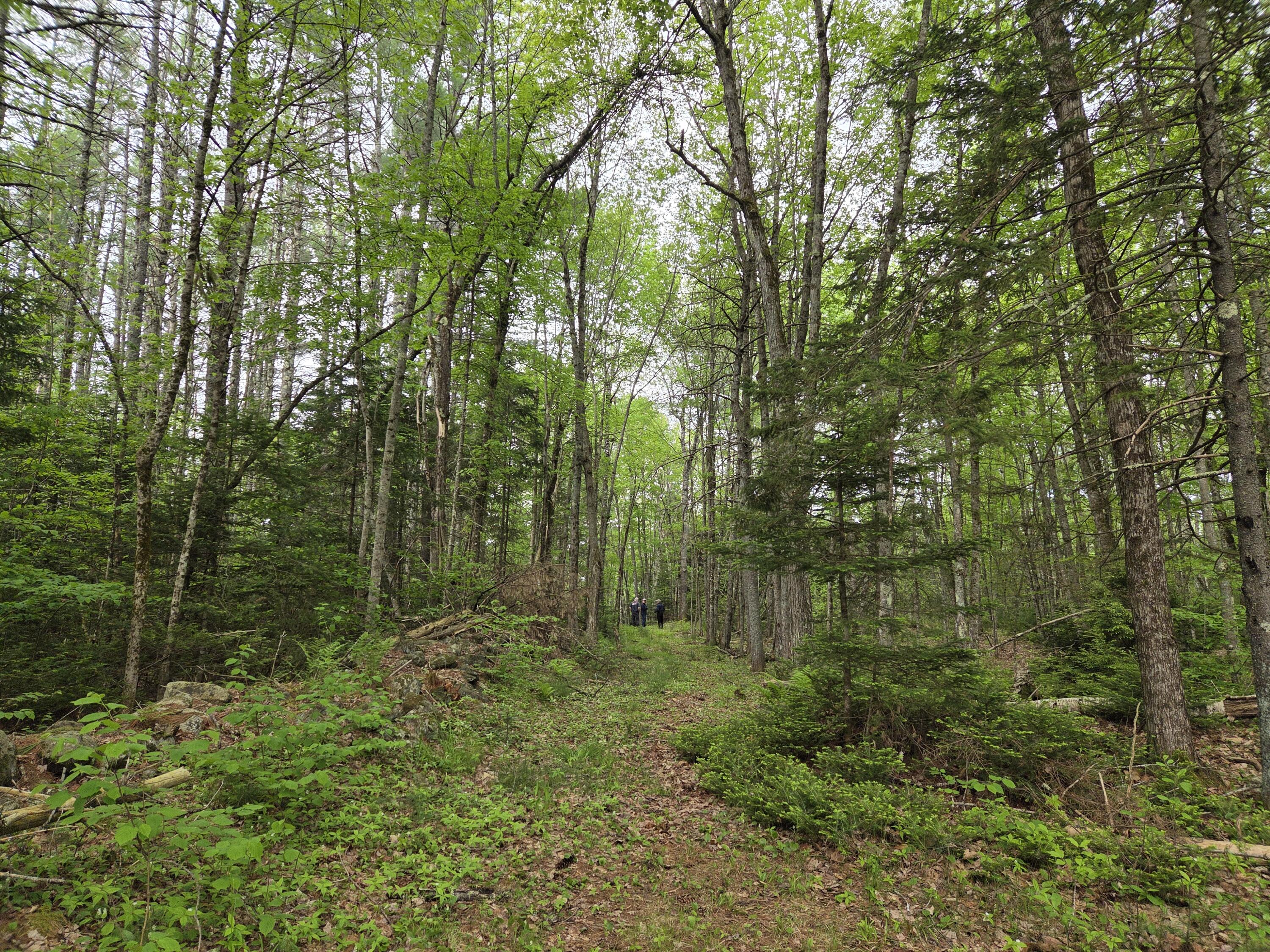 1462 Waterville Road Waldo, ME 04915 - Photo 22 of 70 20260528_100200