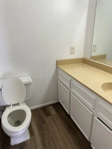 a bathroom with a sink and a toilet