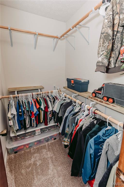 14574 Colorado Road Dixon, MO 65459 - Photo 49 of 90