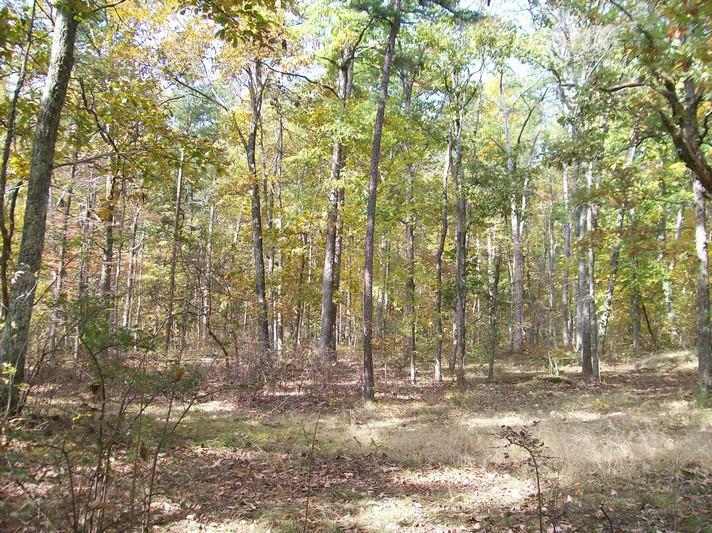Lot 219 Jason Road Pikeville, TN 37367 - Photo 15 of 29 100_1295