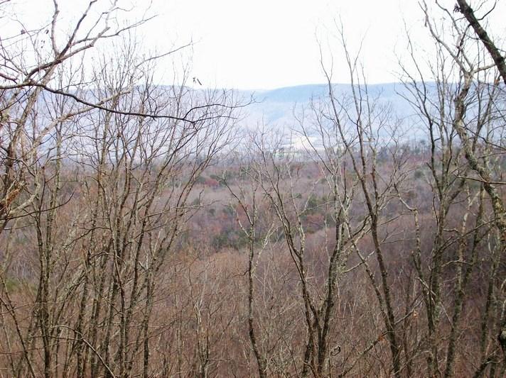 Lot 219 Jason Road Pikeville, TN 37367 - Photo 8 of 29 100_1473