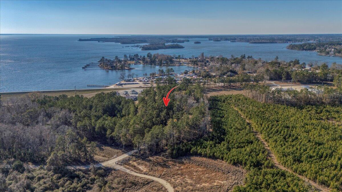 13667 Highway 260 Manning, SC 29102 - Photo 3 of 43 37-13667 SC-260-14