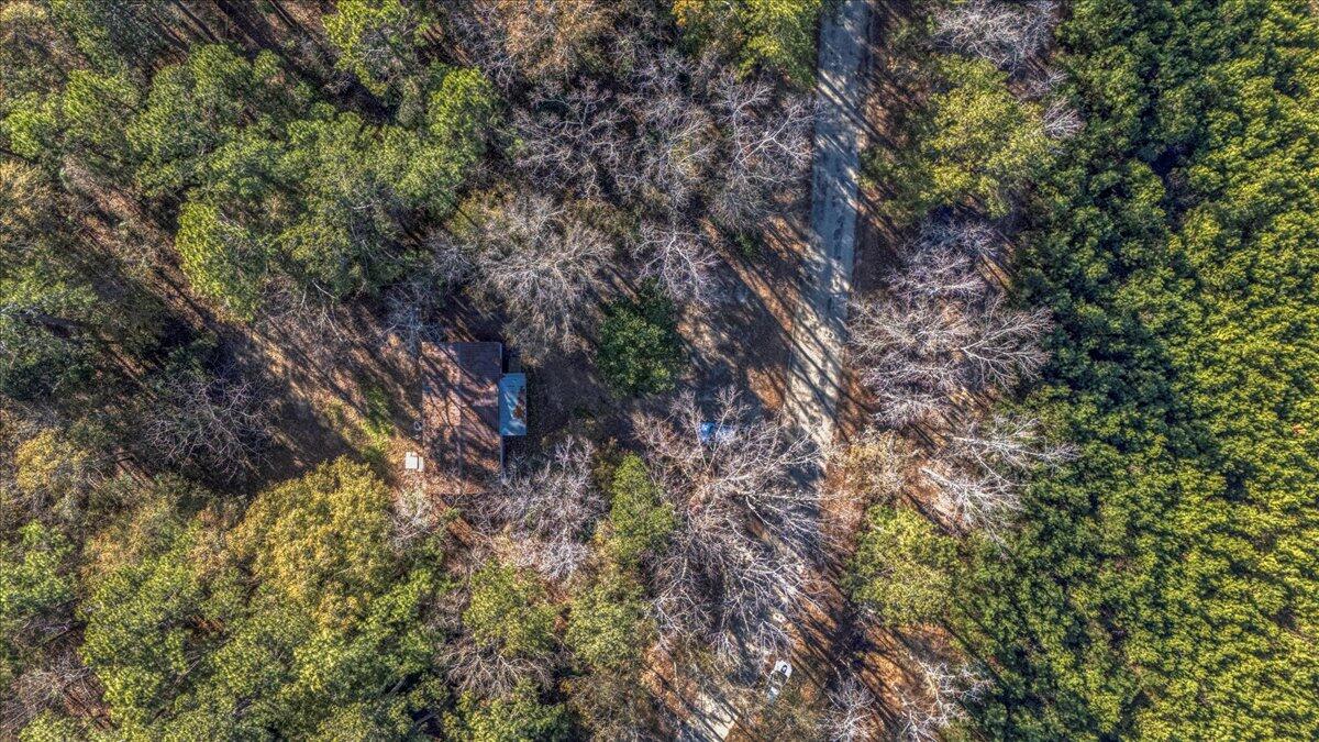 13667 Highway 260 Manning, SC 29102 - Photo 36 of 43 34-13667 SC-260-11