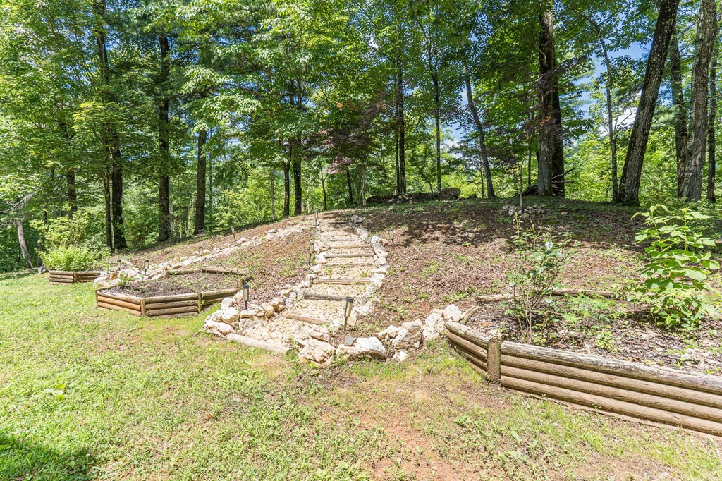140 Kathryn Circle Murphy, NC 28906 - Photo 41 of 55 a view of a yard with an outdoor space