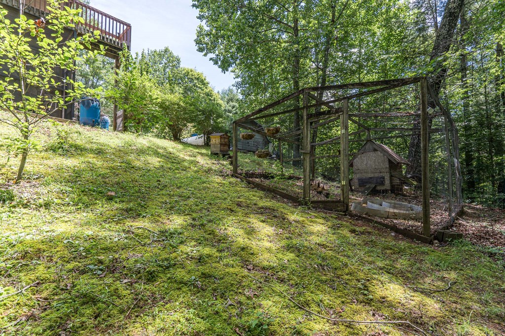 140 Kathryn Circle Murphy, NC 28906 - Photo 42 of 55 a view of a yard in front of house