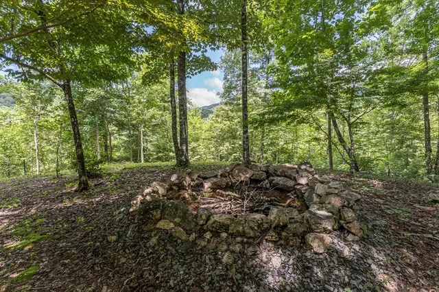 a view of a yard in a backyard