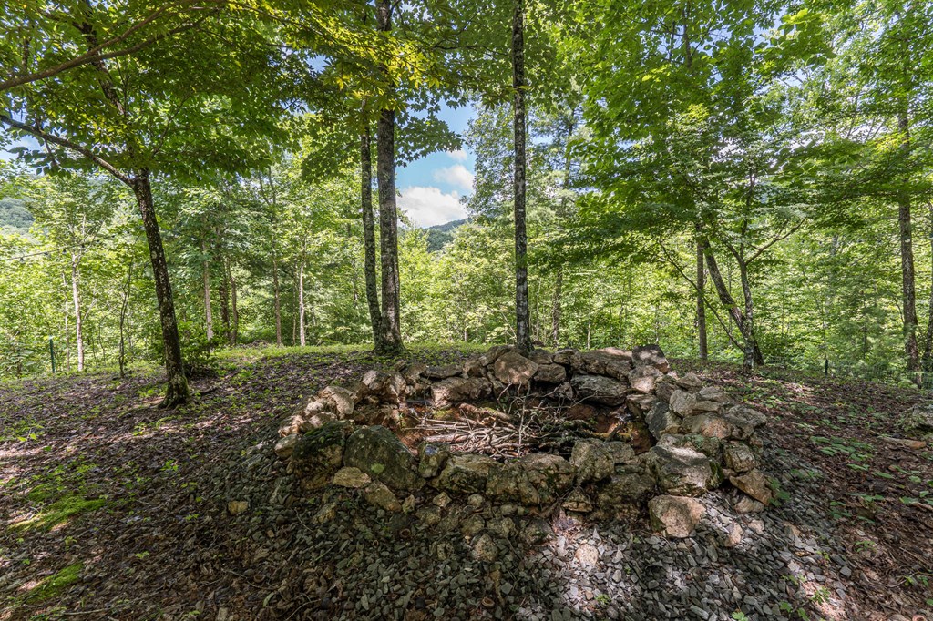 140 Kathryn Circle Murphy, NC 28906 - Photo 45 of 55 a view of a forest with trees
