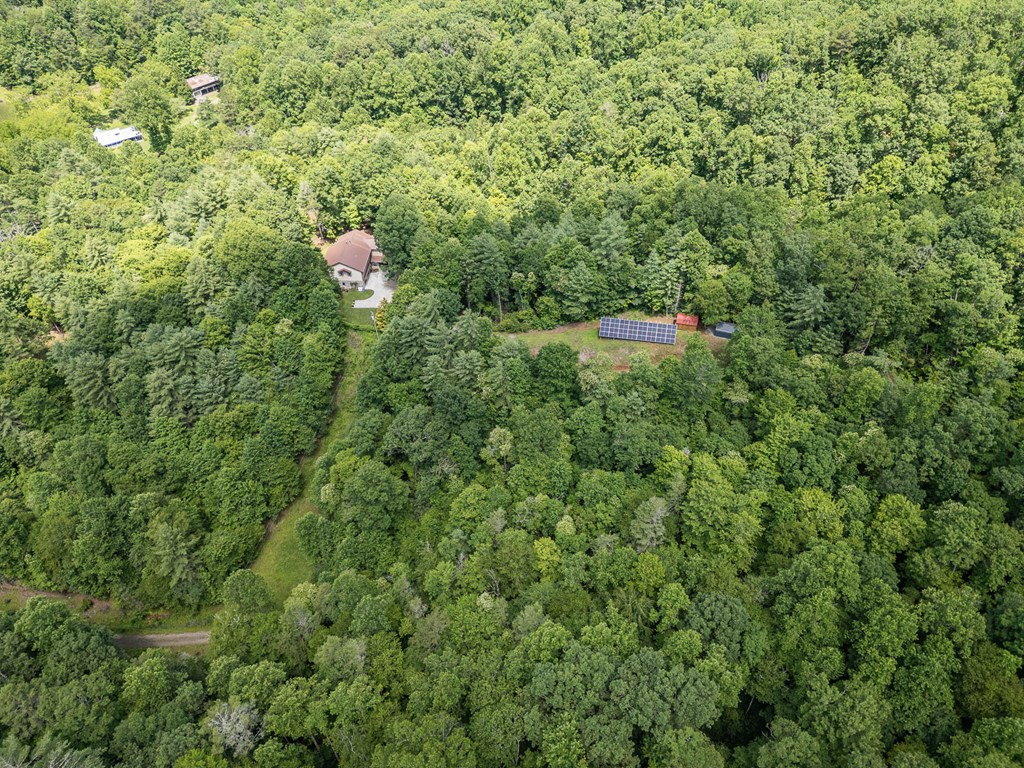 140 Kathryn Circle Murphy, NC 28906 - Photo 51 of 55 a view of a forest with a tree