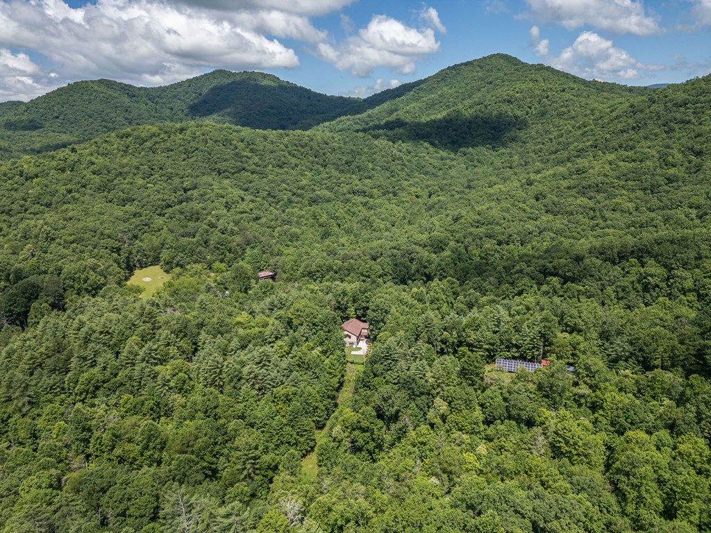 140 Kathryn Circle Murphy, NC 28906 - Photo 52 of 55 a view of a lush green forest with lots of trees