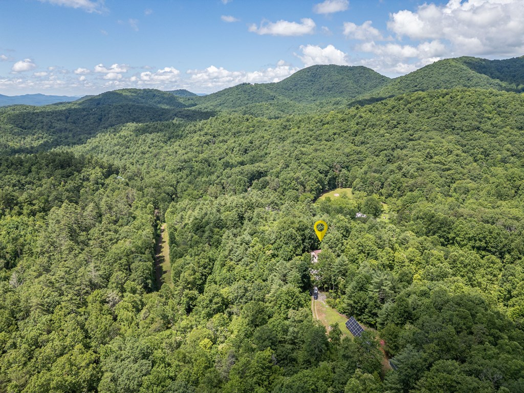 140 Kathryn Circle Murphy, NC 28906 - Photo 53 of 55 a view of a lush green forest with mountains in the background