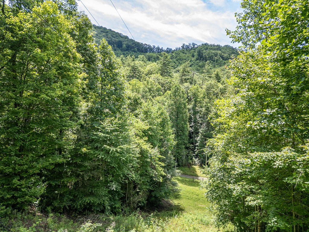 140 Kathryn Circle Murphy, NC 28906 - Photo 55 of 55 a view of a lush green forest