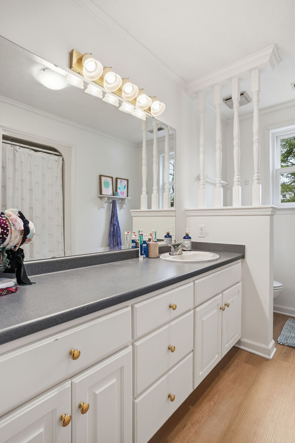 218 Spring Valley Road Hendersonville, TN 37075 - Photo 38 of 60 a bathroom with a sink and a mirror