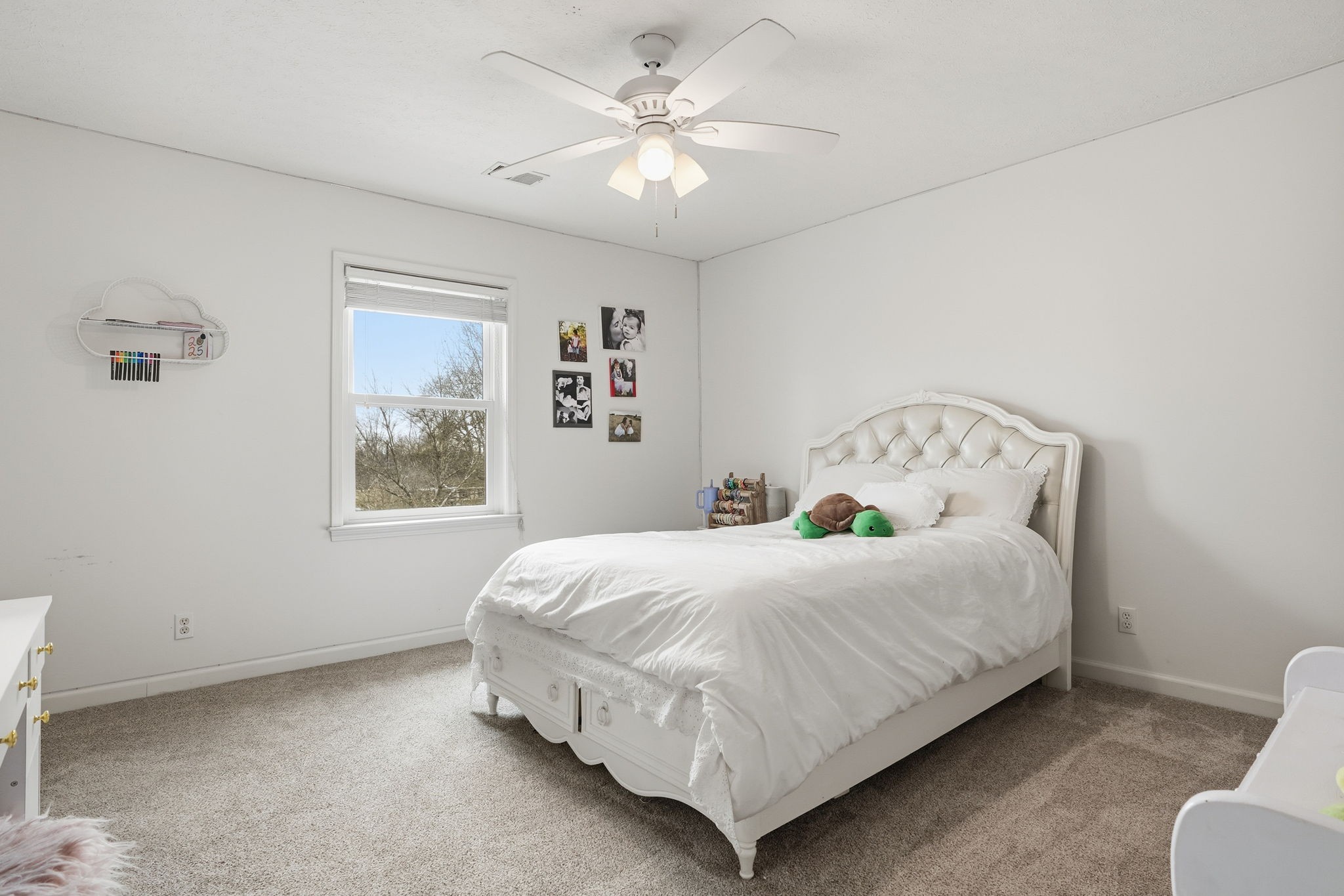 218 Spring Valley Road Hendersonville, TN 37075 - Photo 43 of 60